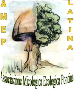 Logo_Amep_2013