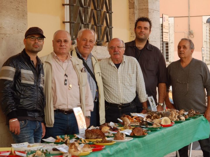 Mostra Micologica Latina 2016